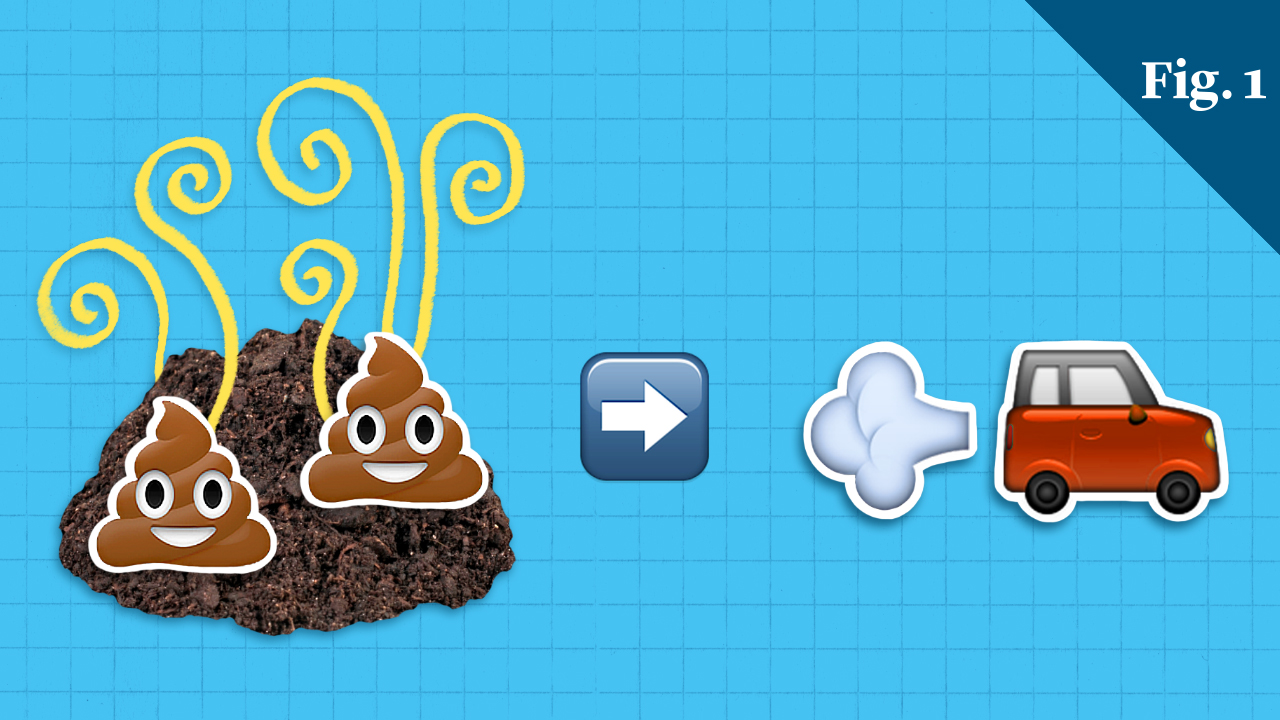 Will cars of the future run on poop? University of California