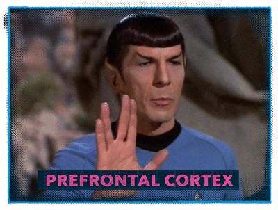 Spock from Star Trek labeled as the "prefrontal cortex"