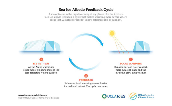 Sea ice infographic