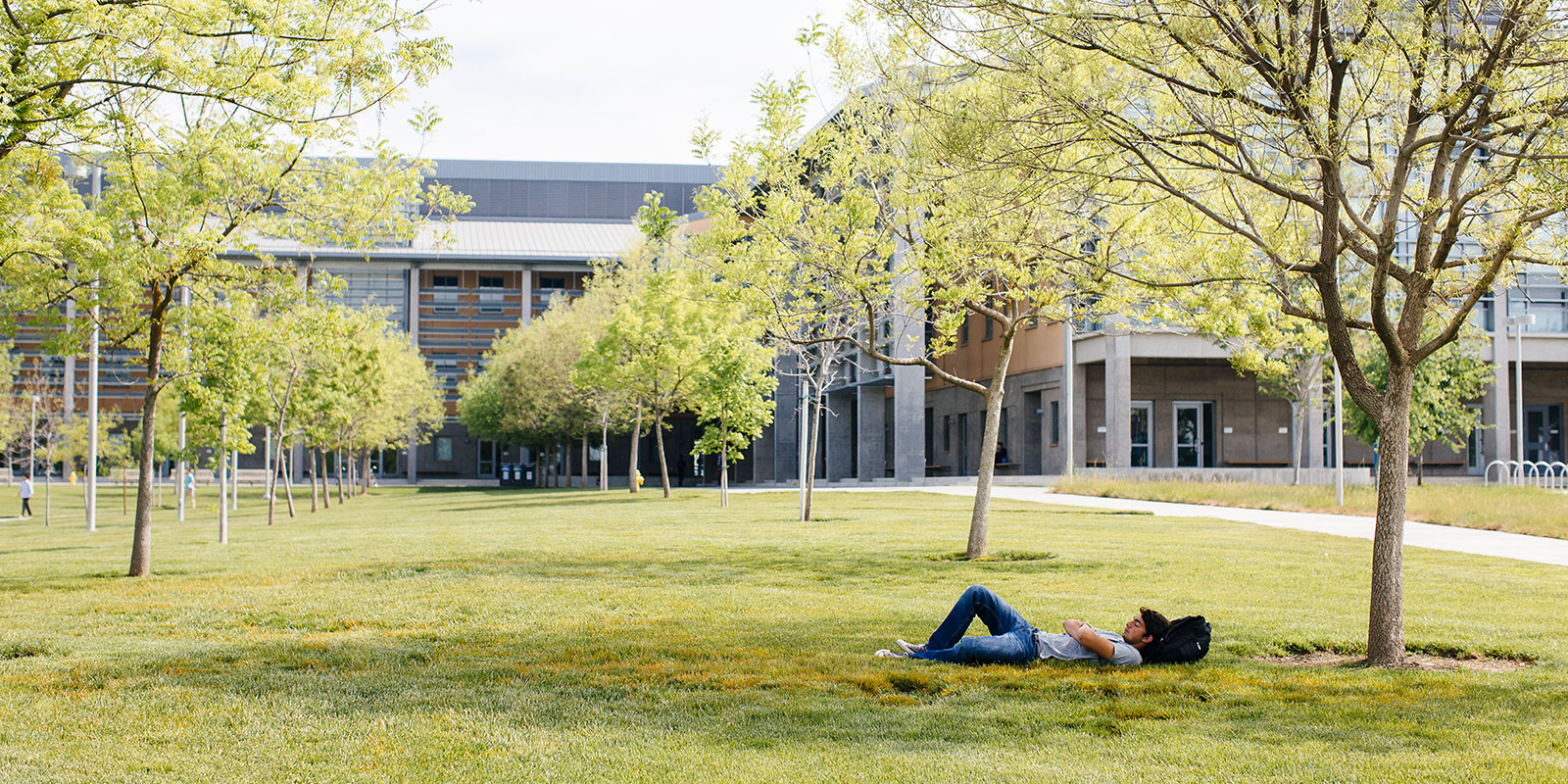 Student napping outside on campus