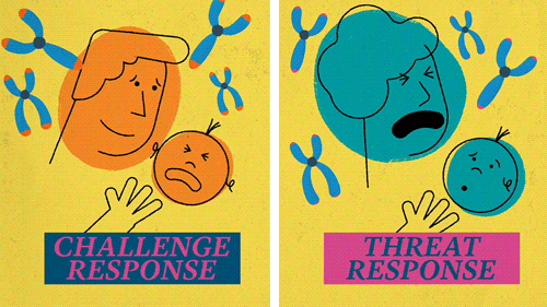 Stress responses animation