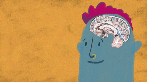 A teen being shown a cookie and the reward center in their brain lighting up