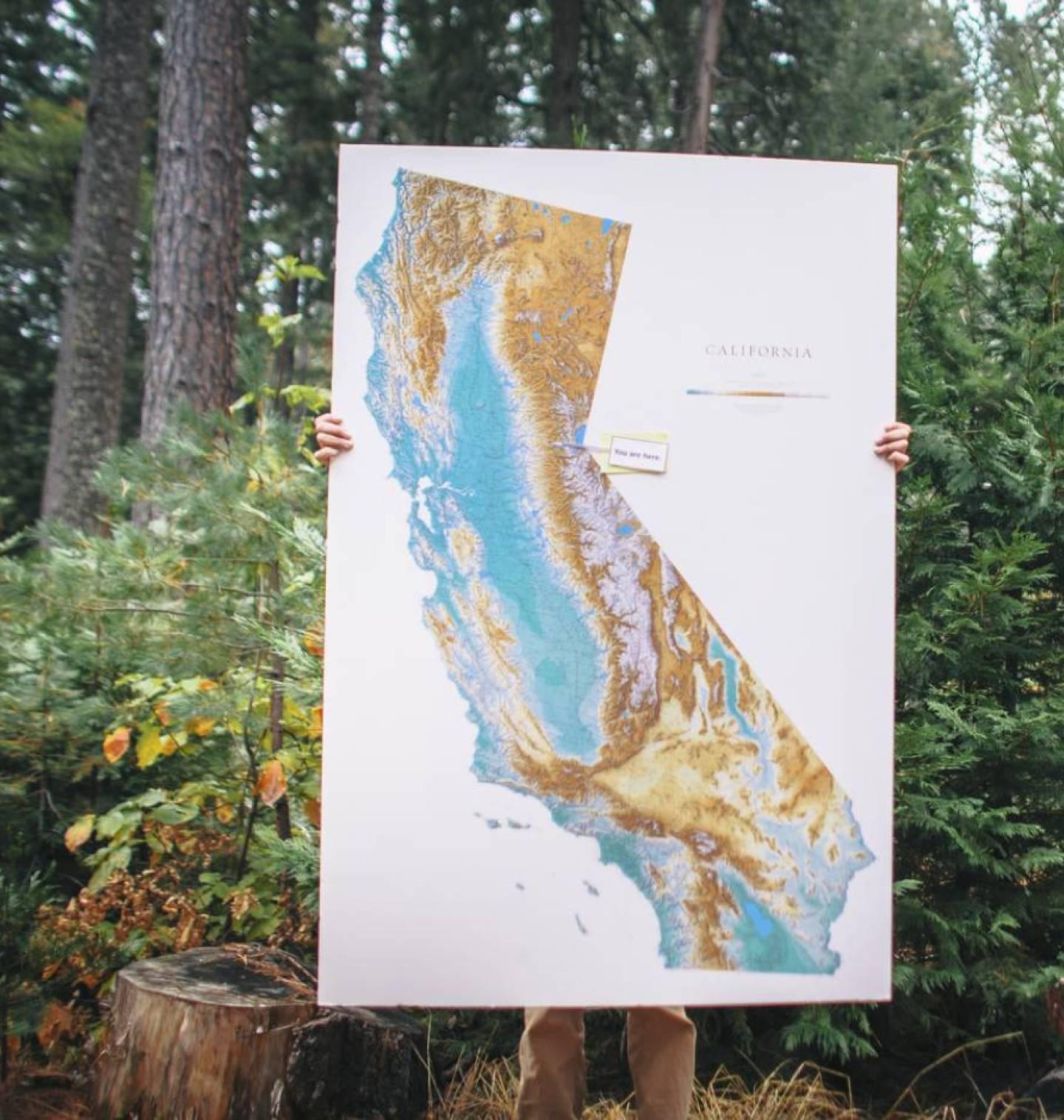 Person holding up a large poster of the state of California in the middle of a forest.