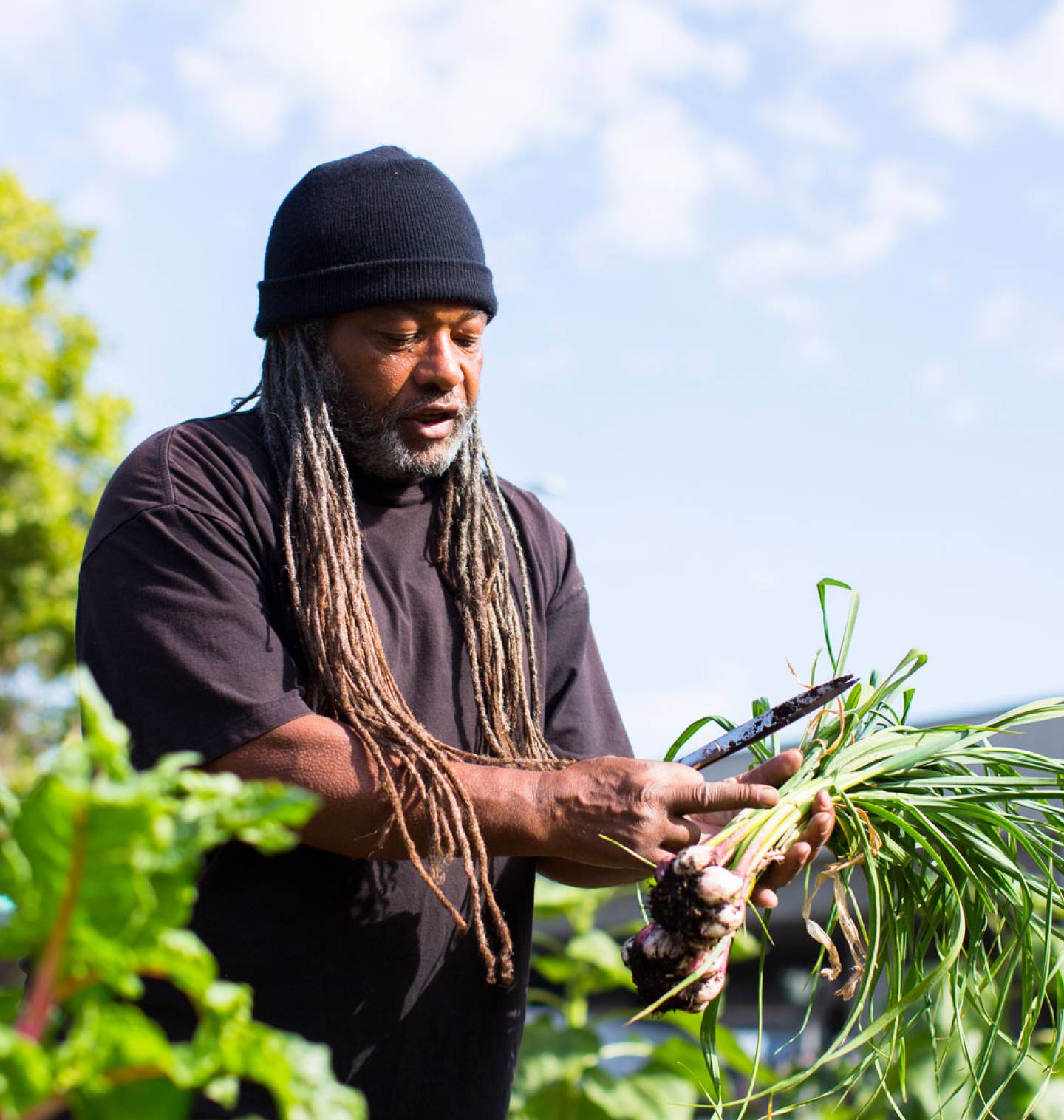 Man standing in a garden with garlic in his hand. 