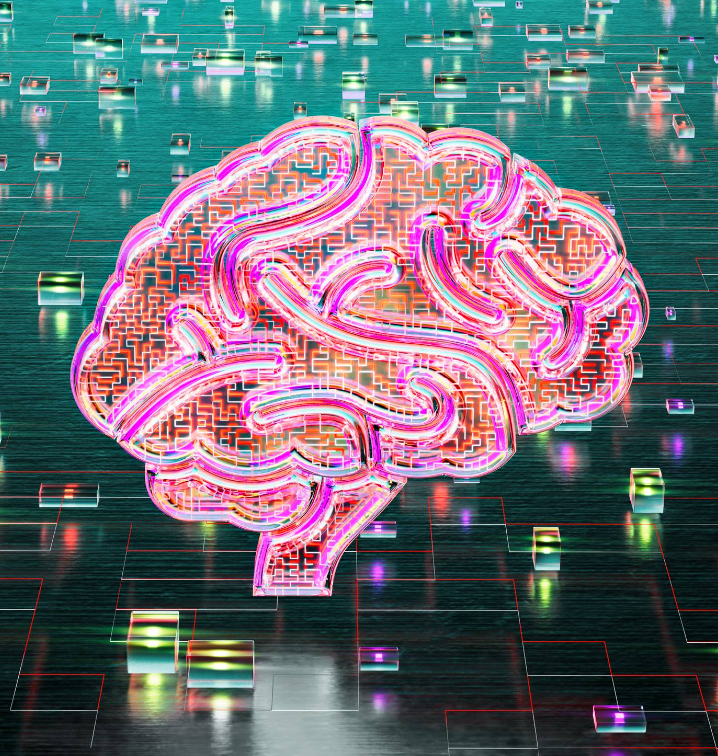 An illustration of a human brain