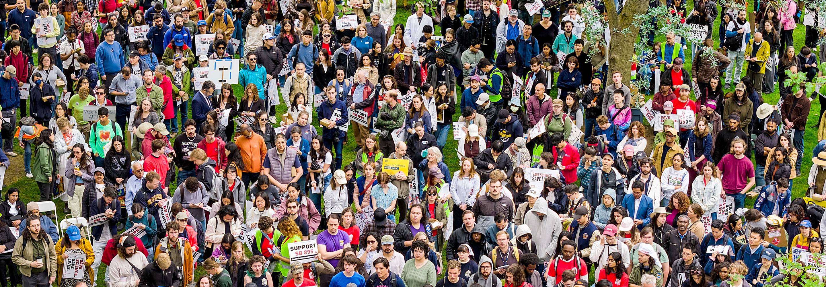 A large crowd holding signs gathers outdoors.