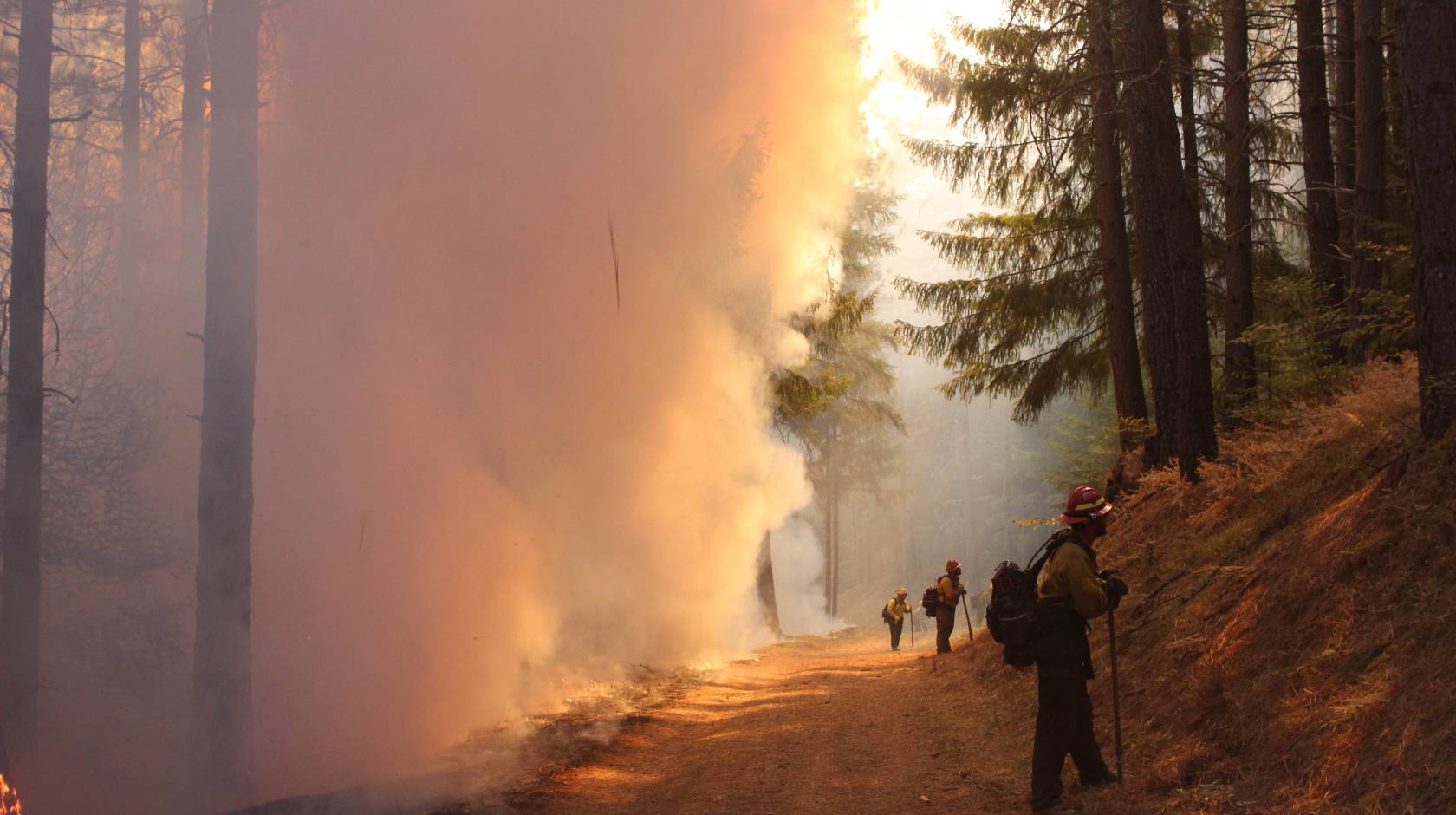 Firefighters battling the August Complex