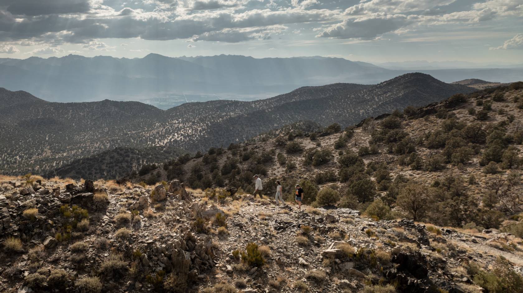 A pinyon pine forest in the Sierra Nevada mountains viewed from a distance..