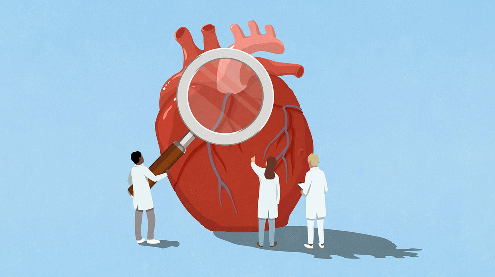 Flat-style illustration of 3 scientists standing around a human heart that's twice as tall as they are. One holds a magnifying glass.