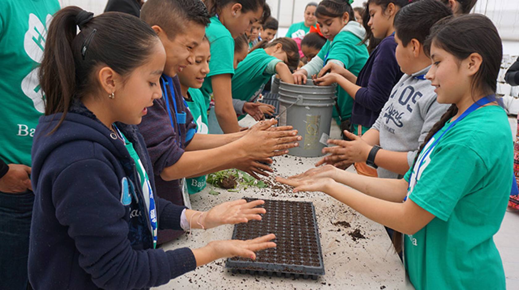 Children in Mexicali, Mexico, plant seeds while learning about food and agriculture.