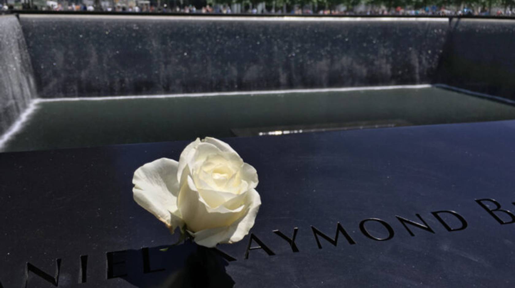 9/11 memorial with a white rose