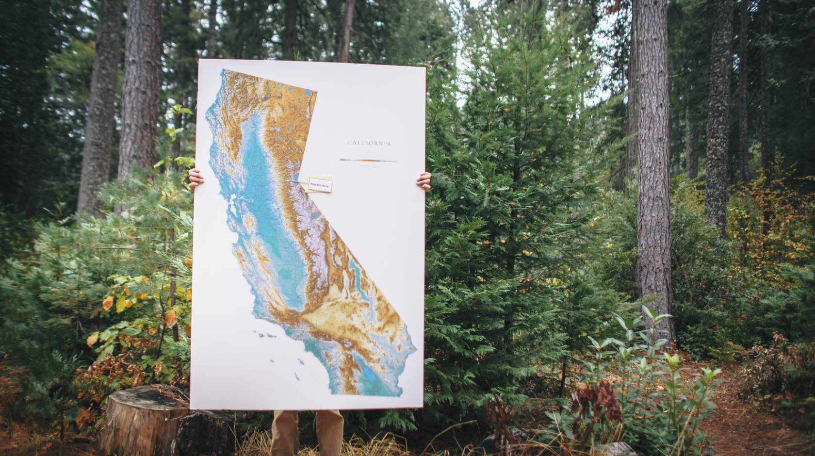 A person stands in a forest, holding a big map of California, which covers all but their legs and hand. 