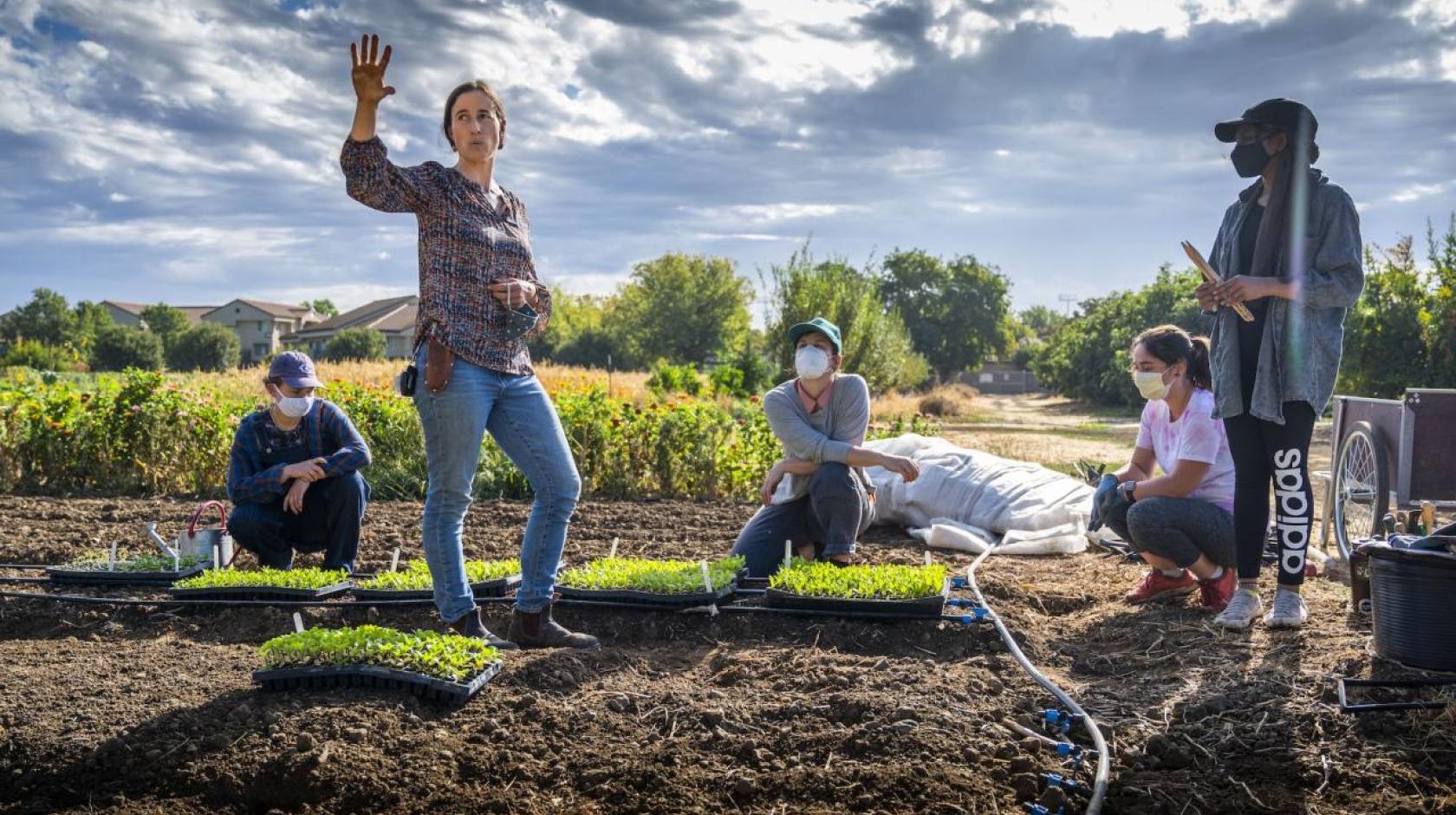 People in a student farm