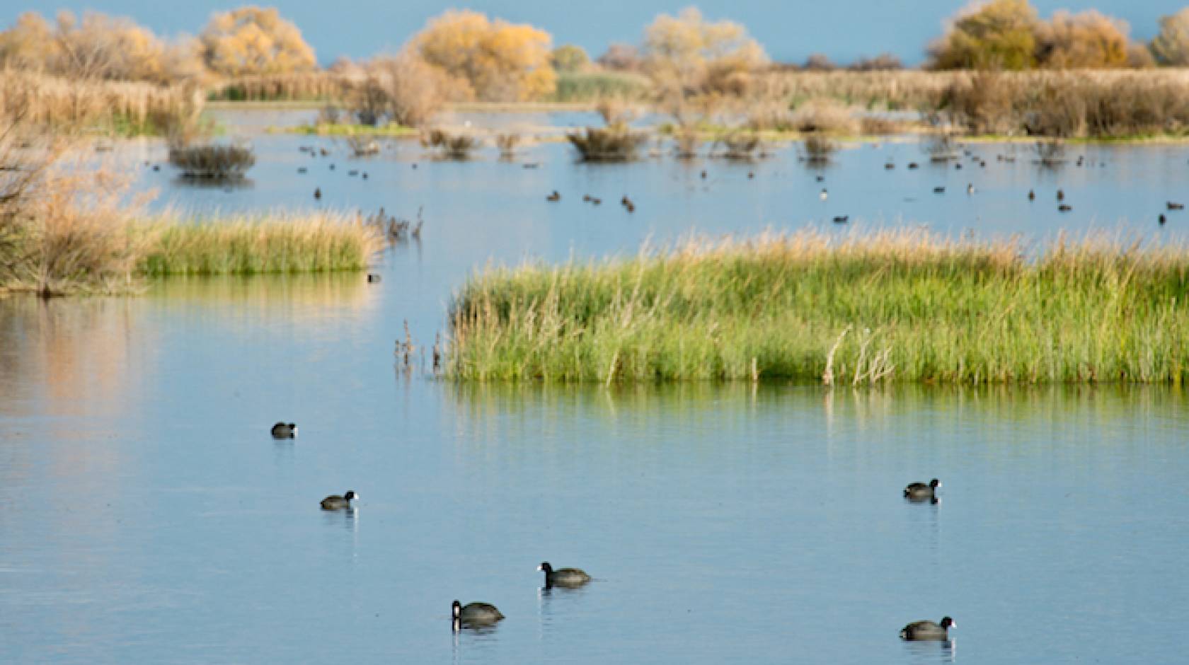 Kern National Wildlife Refuge