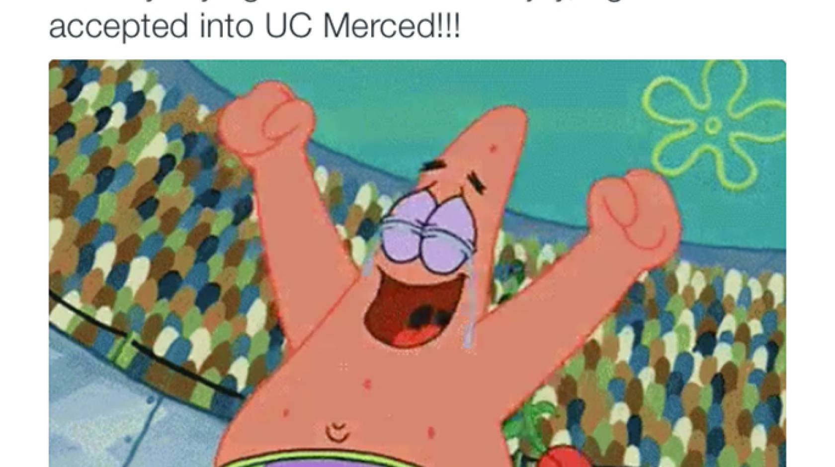 New UC admits celebrate on social media