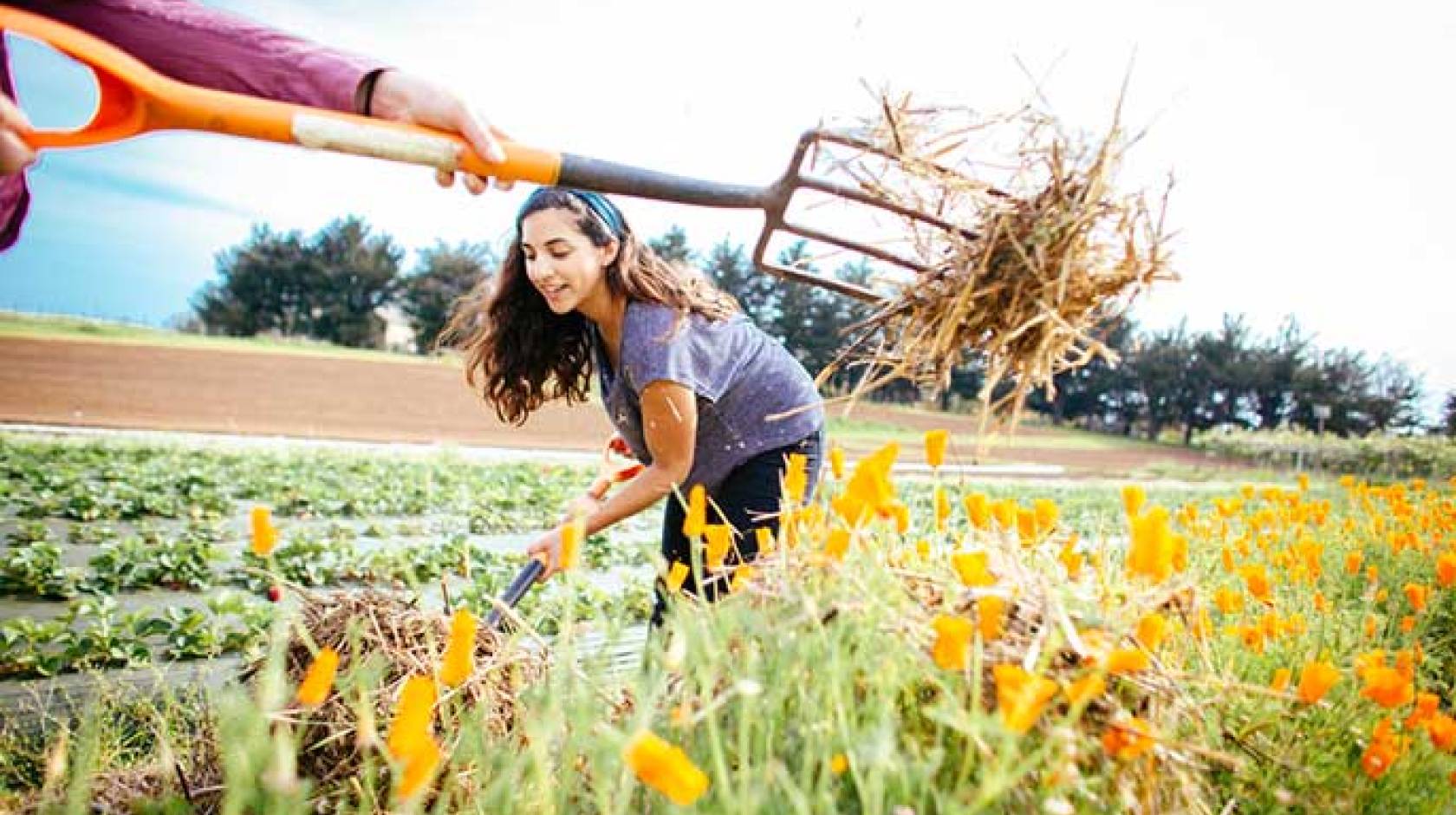 Victoria Salas works on the UC Santa Cruz farm