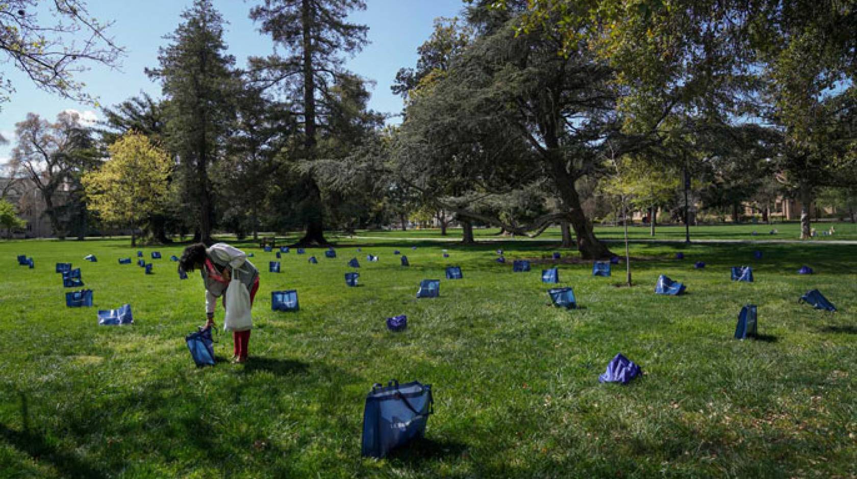 Aggie volunteer arranging food pickups on the lawn