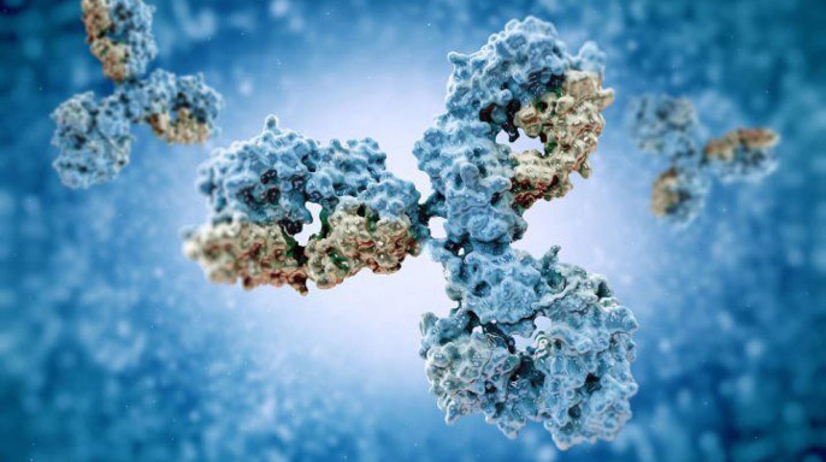 Antibody molecule graphic