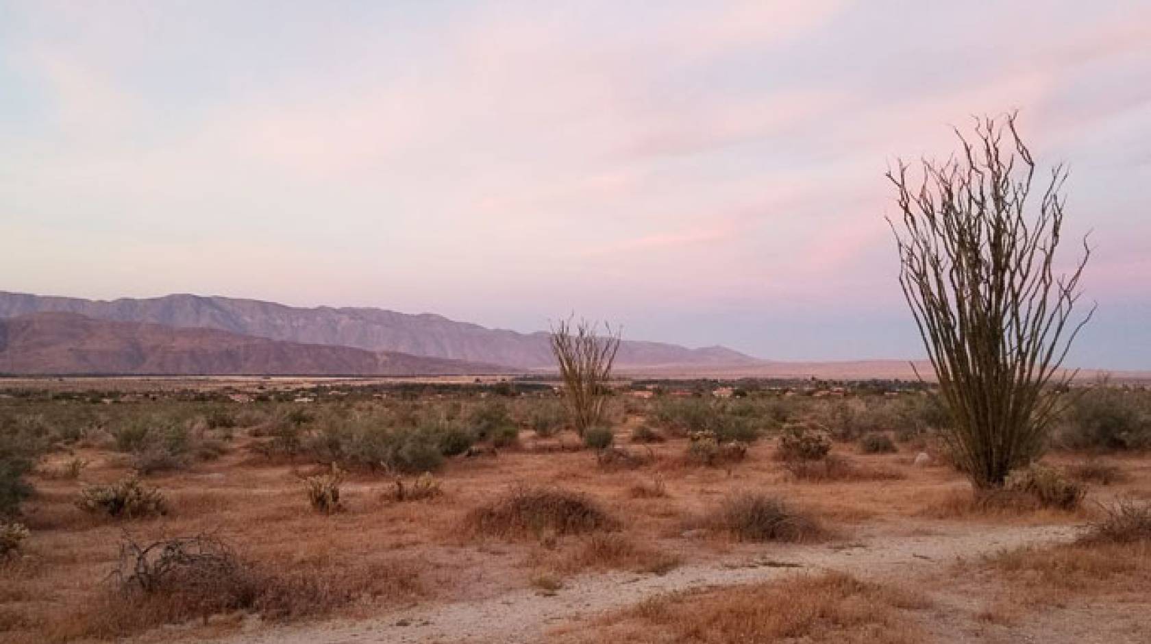 Anza-Borrego State Park at sunset