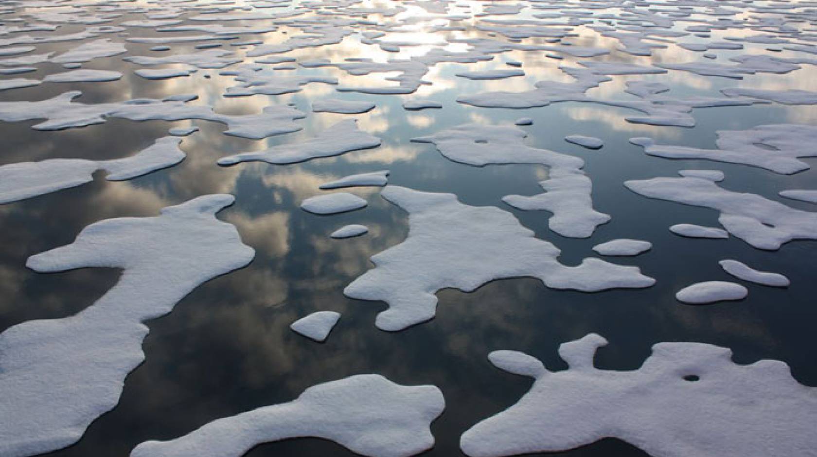 Arctic sea ice