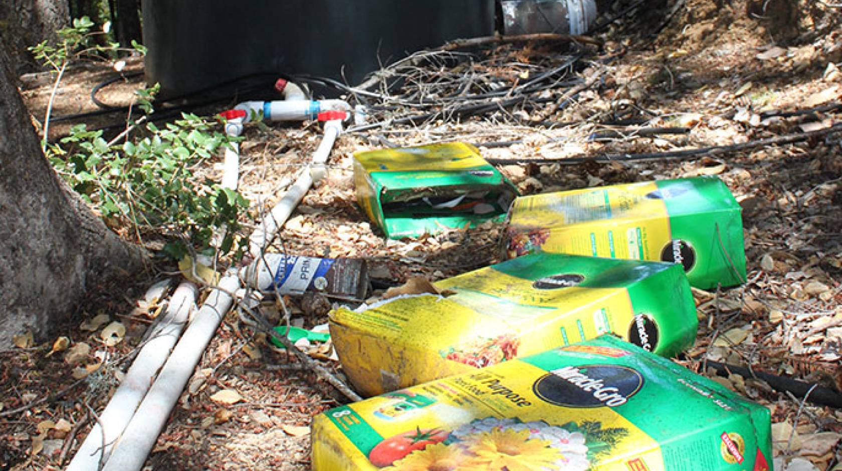 fertilizer boxes at marijuana grow site