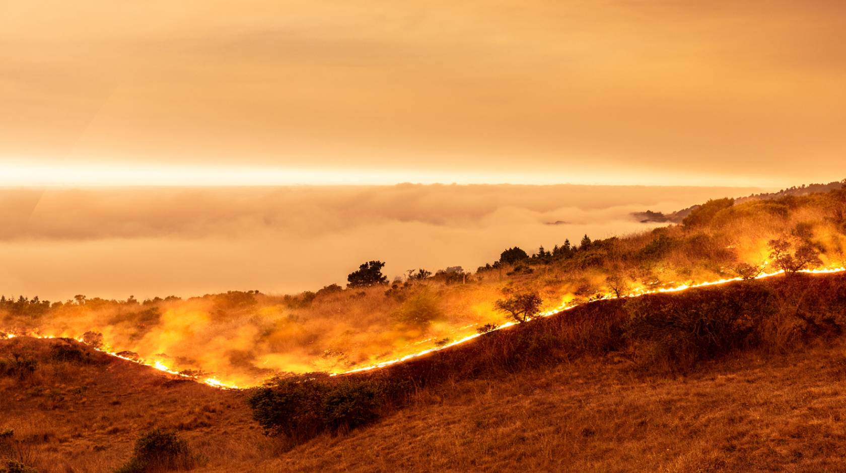 A wildfire burns in Sonoma County in 2020 under an orange smokey sky