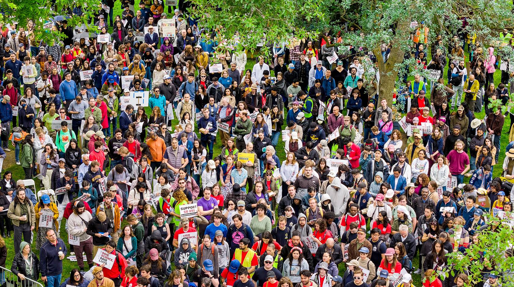 A large crowd holding signs gathers outdoors.