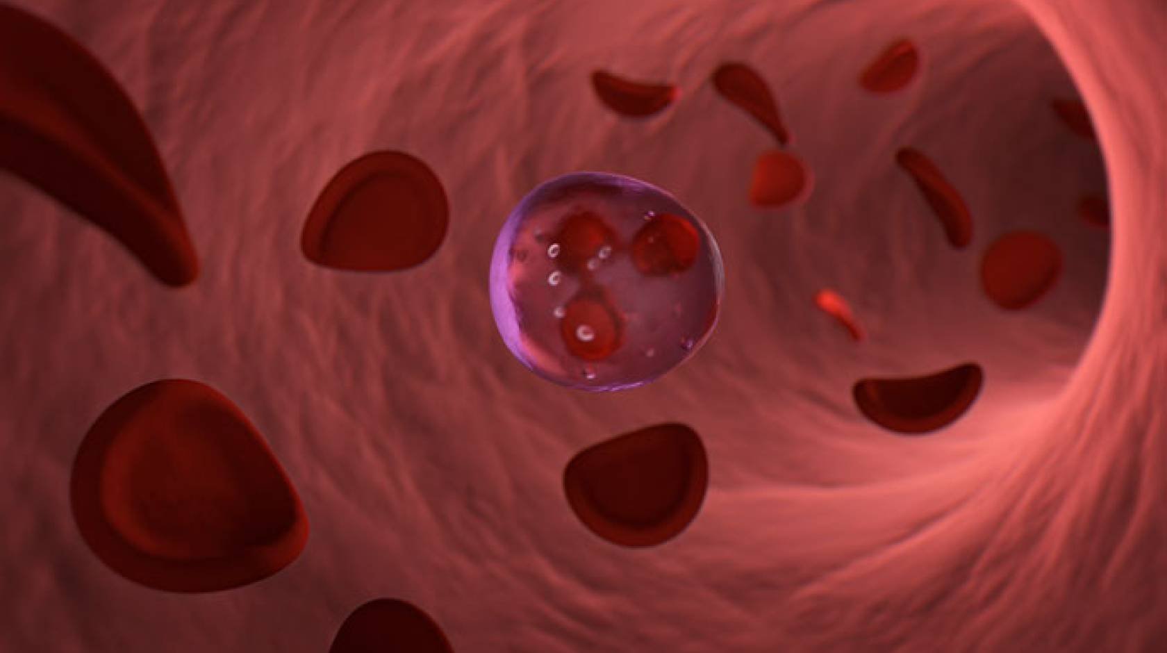 Blood cells floating in a vessel