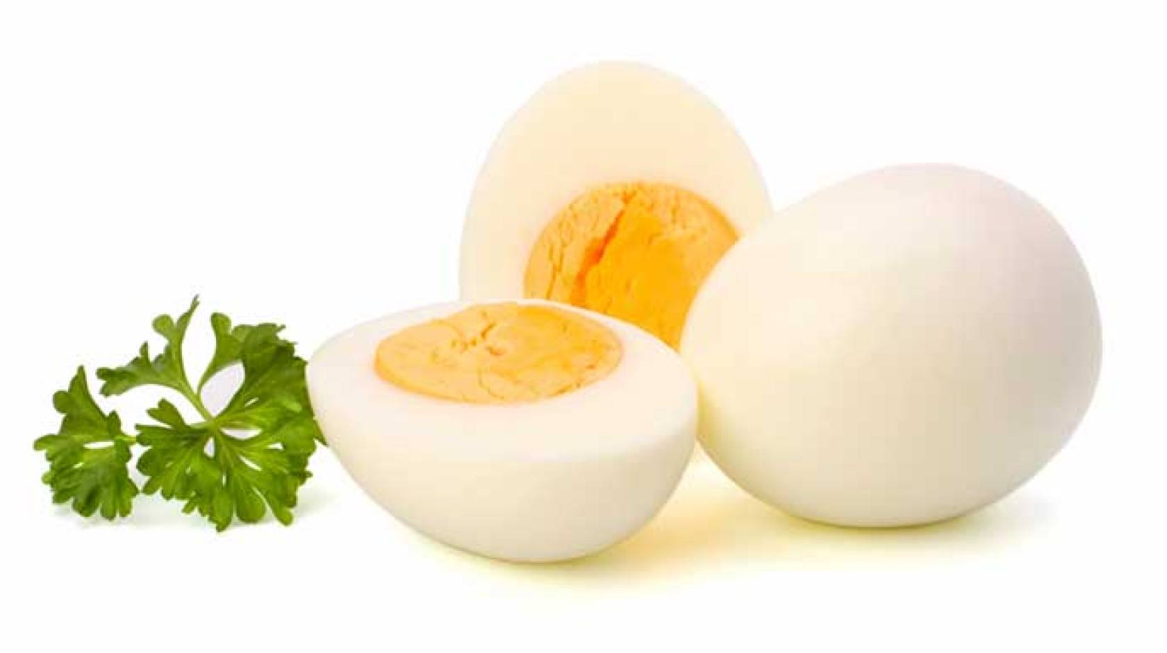 Boiled Eggs - Official CryoFall Wiki