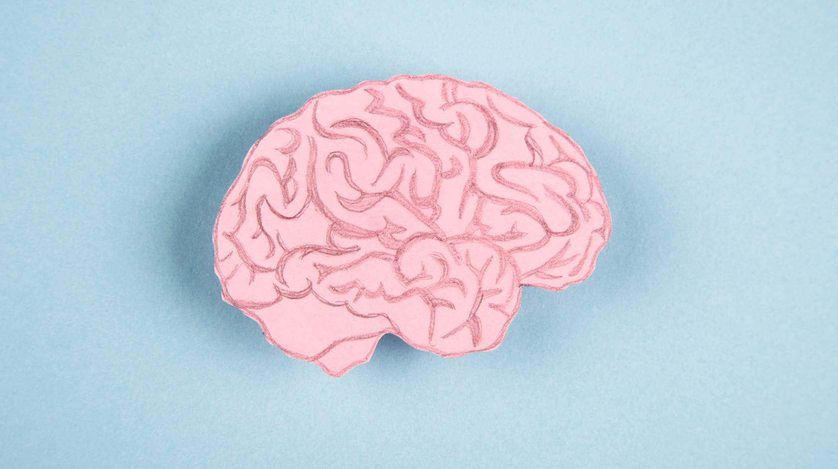 Human brain made of paper on a blue background