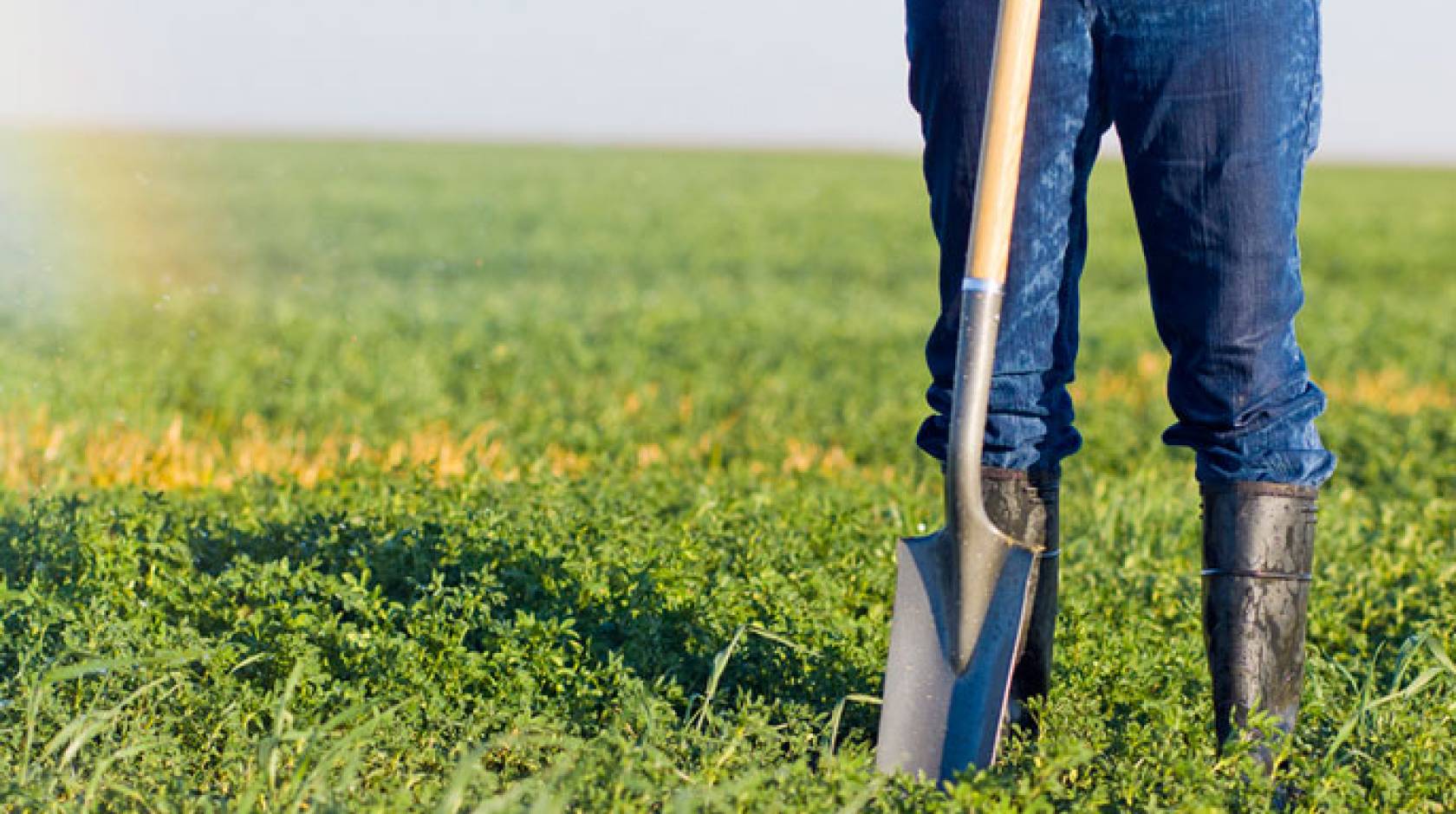 UC Merced California crops