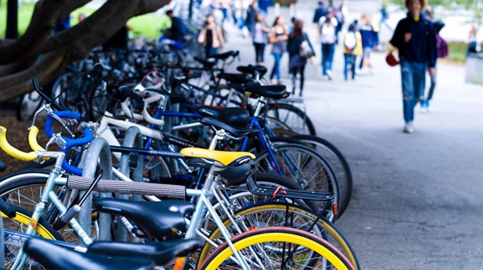 bikes on campus