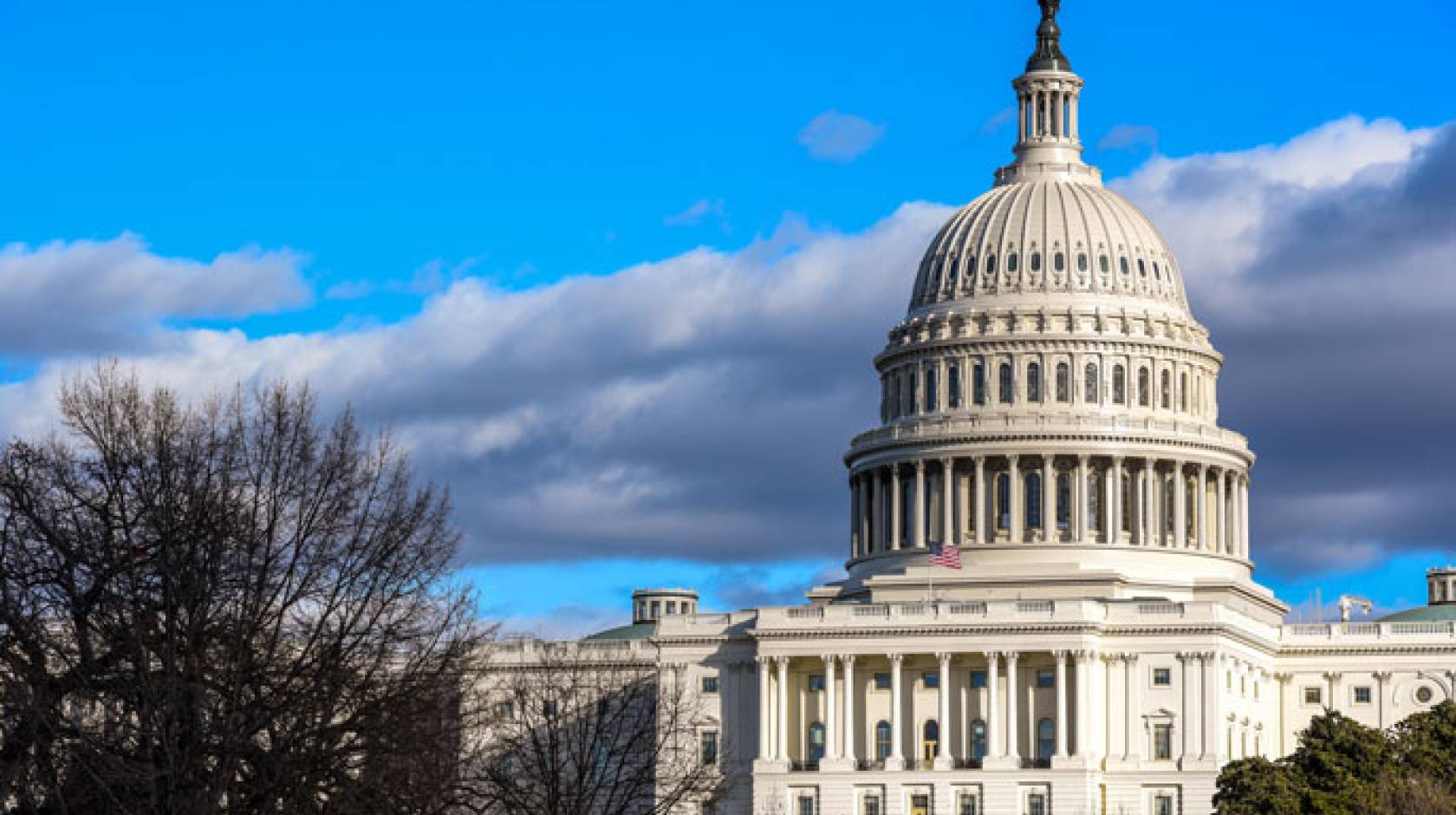 The Capitol