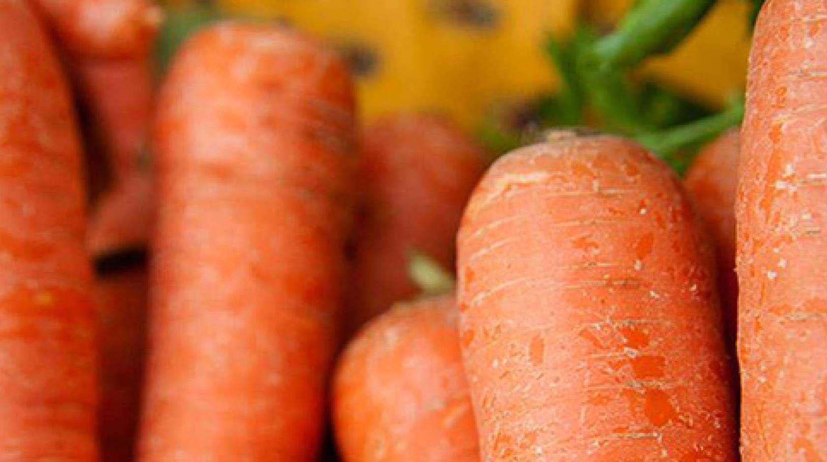 Genome sequencing reveals how carrots have become good at accumulating carotenoids, the pigment compounds that give them their characteristic colors and nutritional richness.