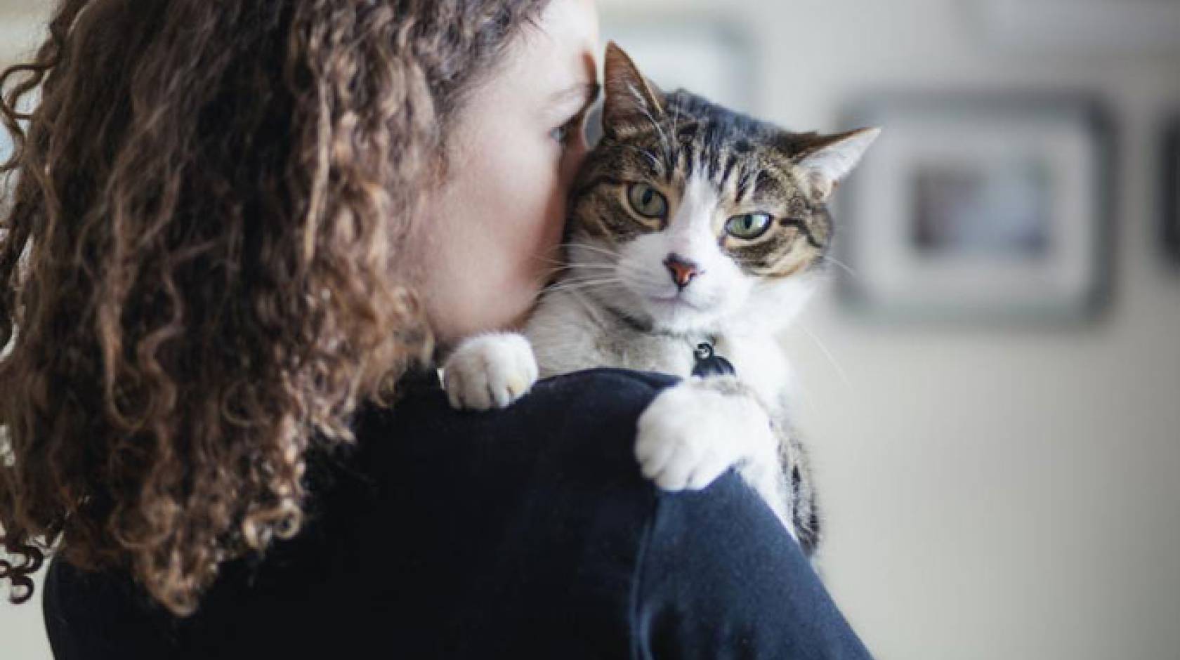 Woman holding a cat