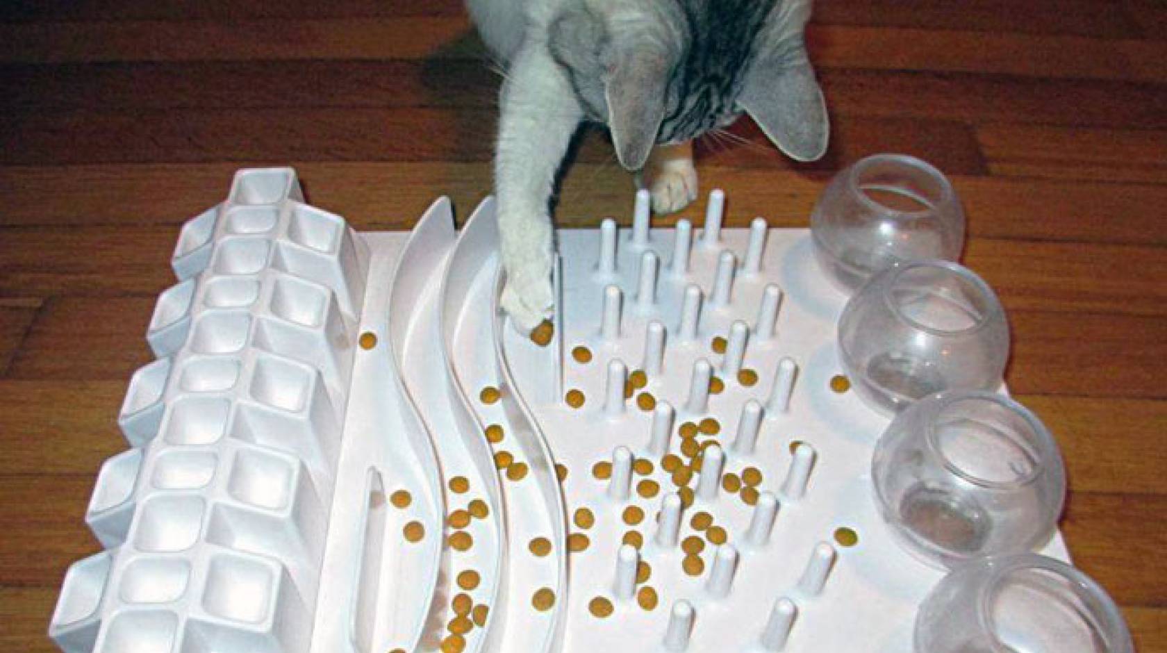 Cat playing with a food puzzle