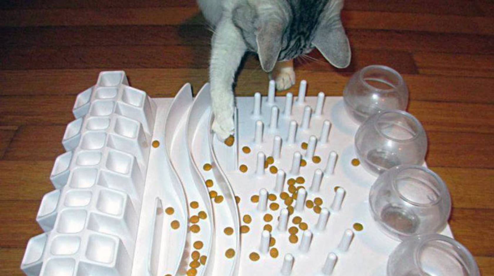 Study finds nearly a third of cat owners use food puzzles