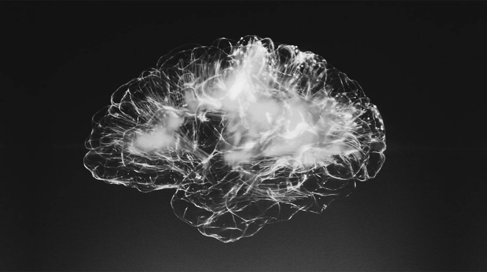 A 3-D-looking scan of a brain appears white against a dark background