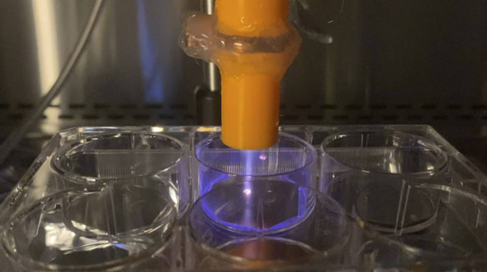 Cold plasma treating samples in a six-well plate