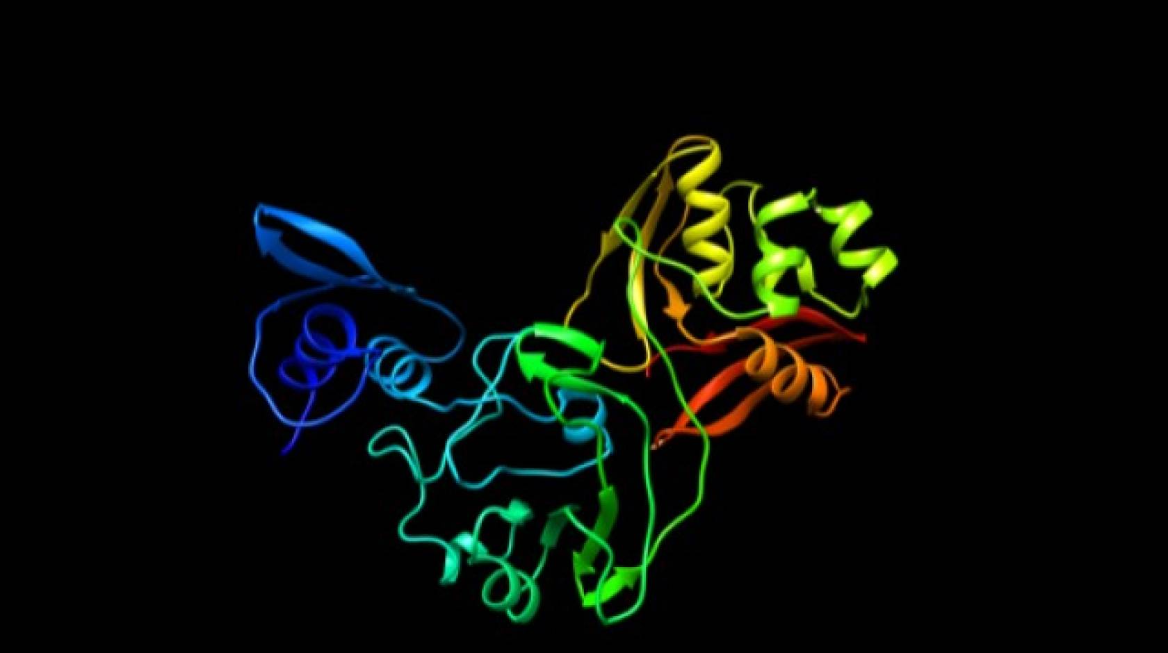 Image of newly mapped coronavirus protein, called Nsp15, which helps the virus replicate.