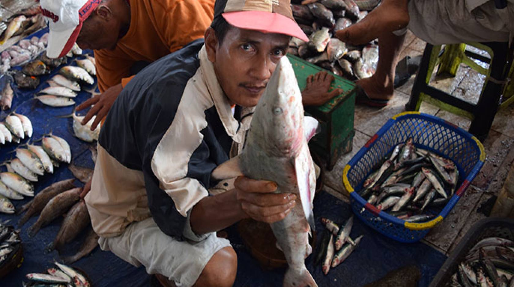 man in Indonesian fish market