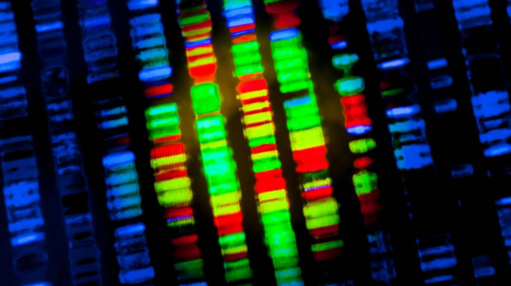 UCLA schizophrenia study