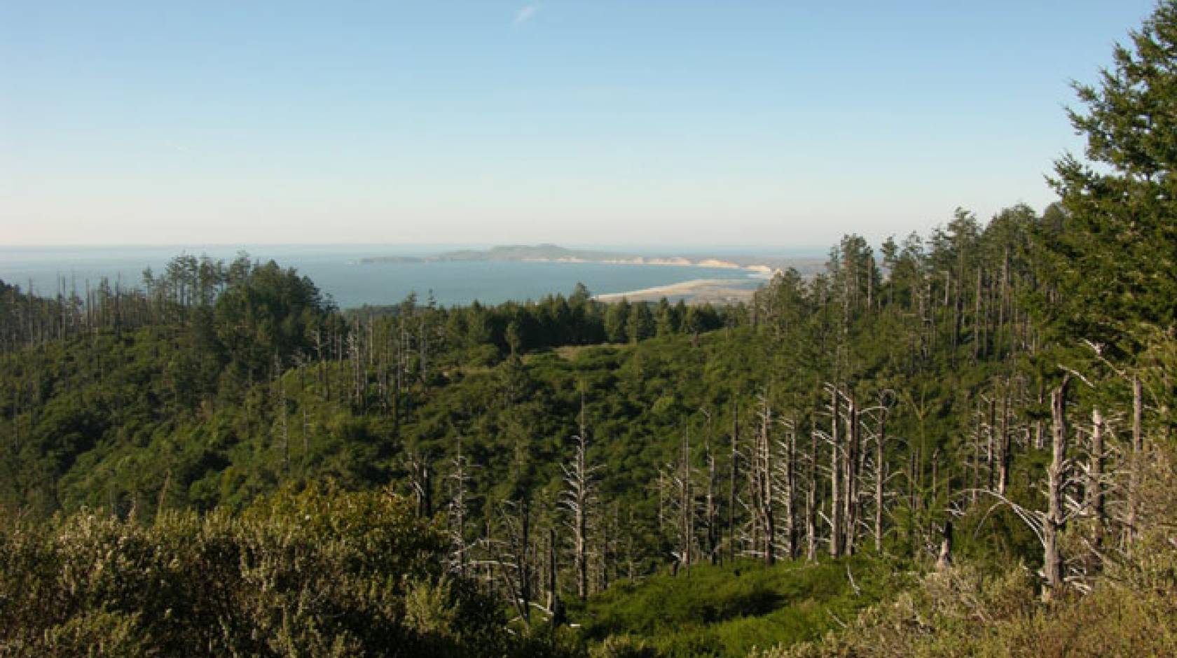 Drake's Bay at Point Reyes National Seashore