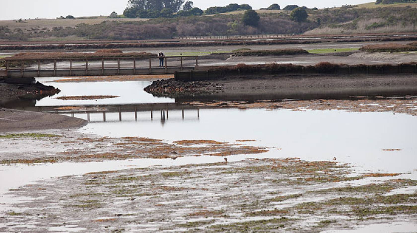 Elkhorn Slough