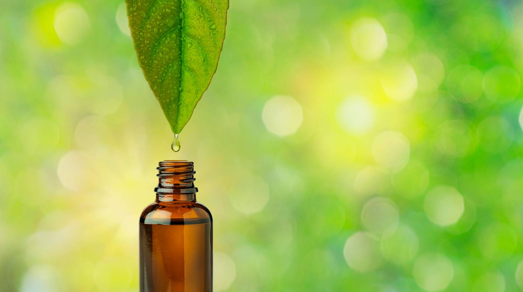 A leaf dripping into a small bottle on a green, nature background