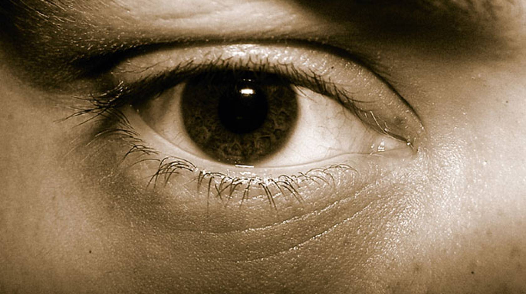 eye