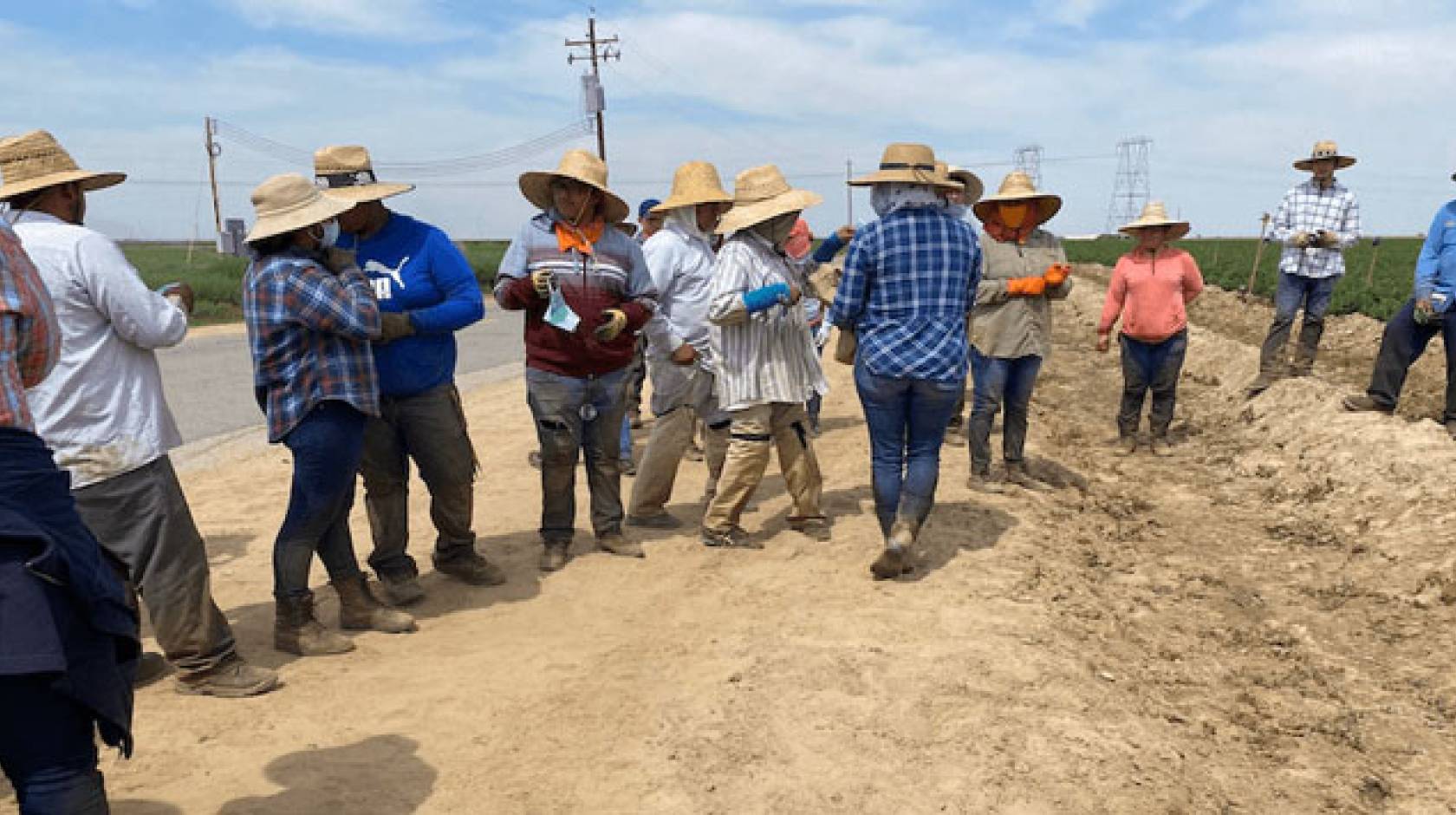 Farmworkers standing outside in a line next to a field