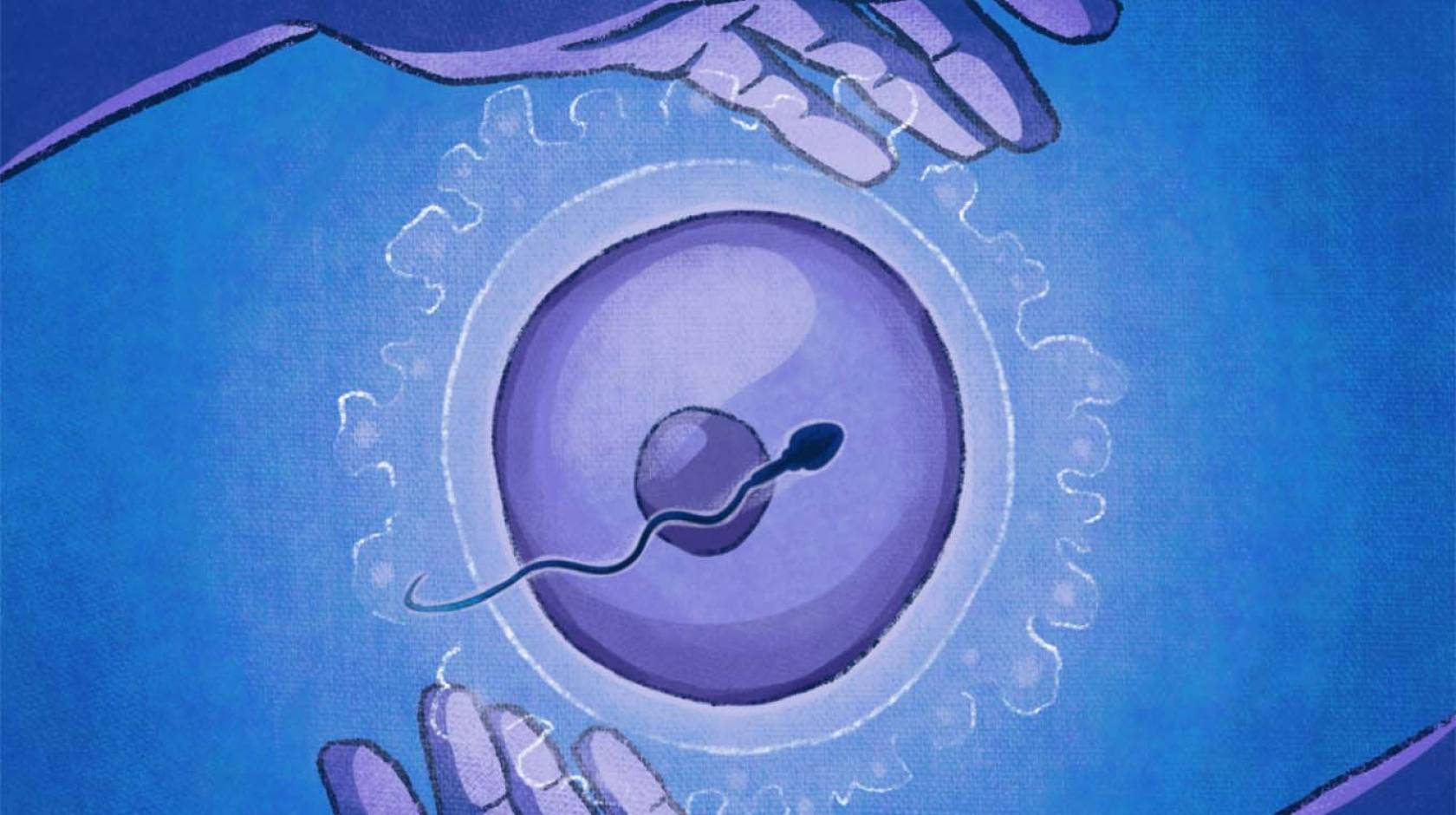 How much can we control our own fertility? | University of California