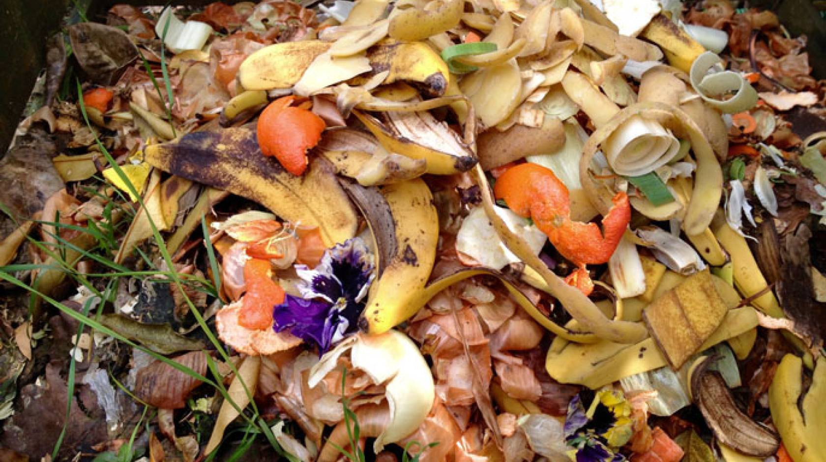 UC Sacramento food waste