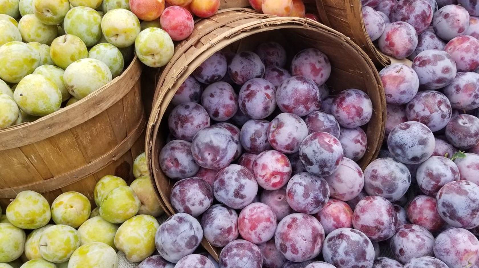 Fruit at a farmer's market